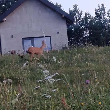 Casa de Férias Tak Jakby W Górach
