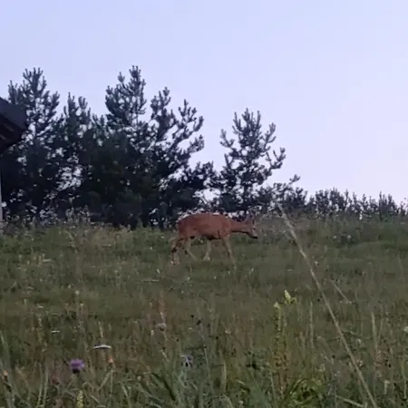 Casa de Férias Tak Jakby W Górach Ryczowek